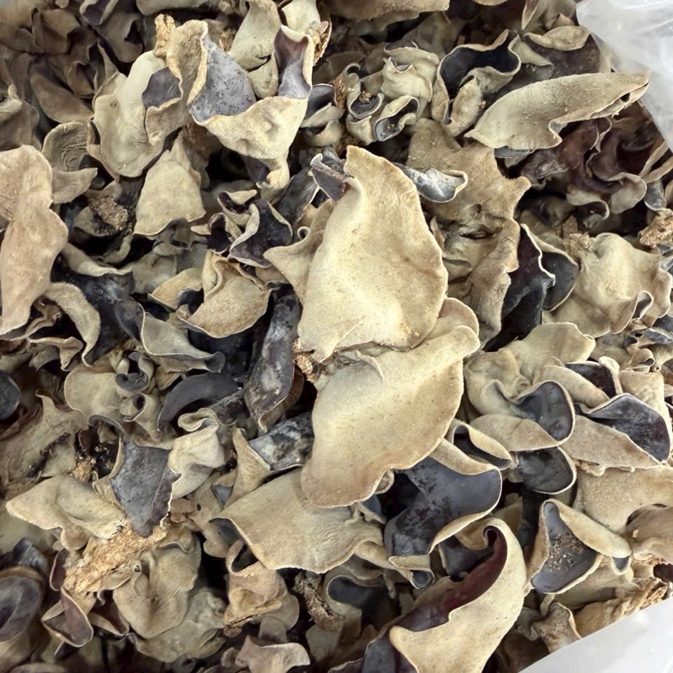 MỘC NHĨ KHÔ ( NẤM MÈO KHÔ)