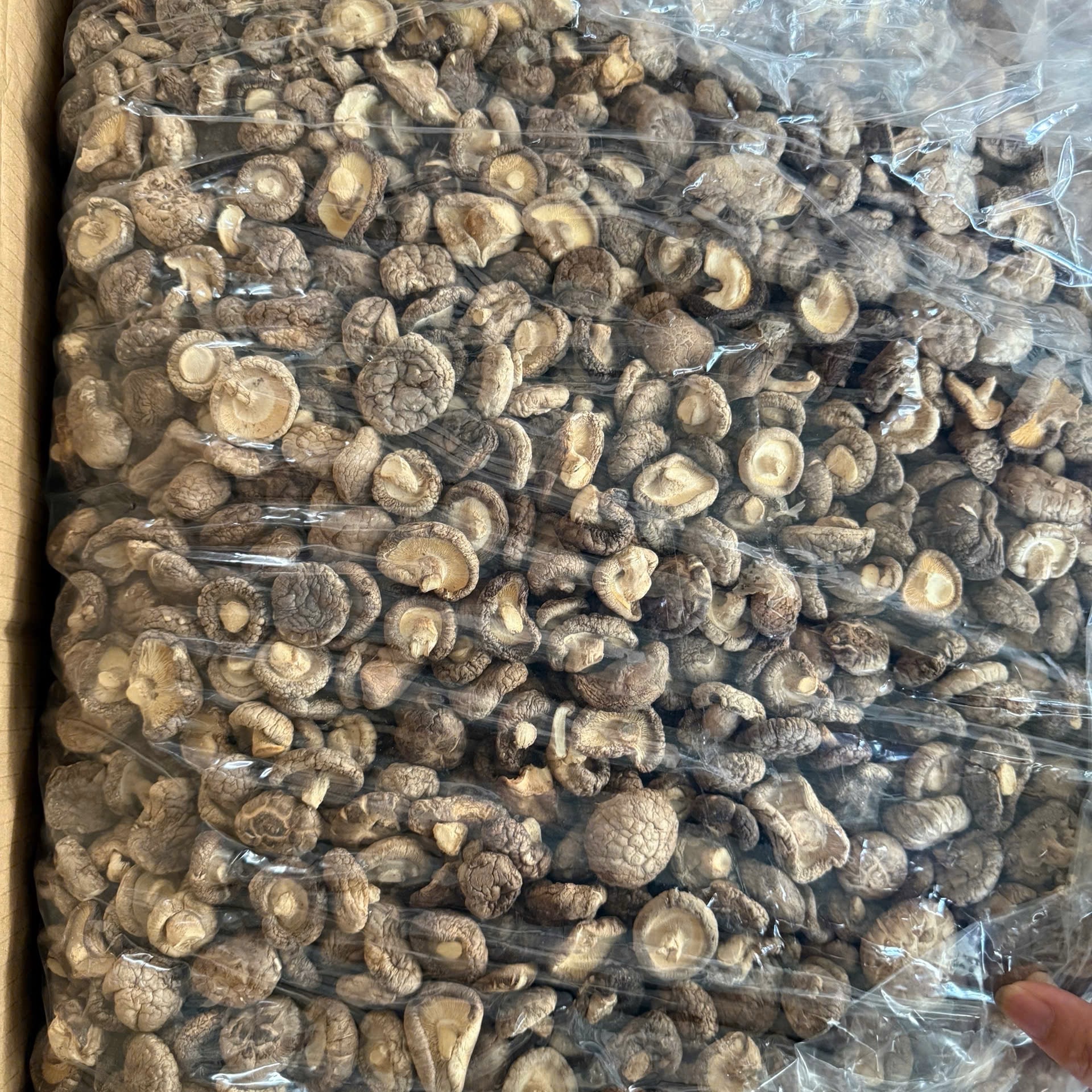 nấm hương khô size 3 cm - 4 cm